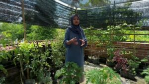 Keluarga Azis dan Tri Rahayu Wujudkan Ketahanan Pangan dengan Inovasi Rumah Tangga